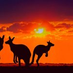 AUSTRALIAN EXPERIENCE