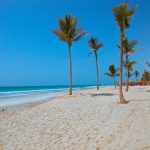BRAVO PREMIUM SALALAH ROTANA RESORT