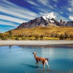 PATAGONIA ARGENTINA E CILENA