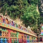 MALESIA AUTENTICA BORNEO