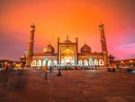 INDIA - RAJASTHAN, TIGRI E MAHARAJAH - immagine 5