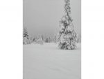 ROVANIEMI: CAPODANNO E NOTTE IN IGLOO DI VETRO - immagine 4