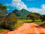 KENYA INTOUR EXPLORE DISCOVERY - immagine 3