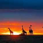 KENYA INTOUR EXPLORE DISCOVERY