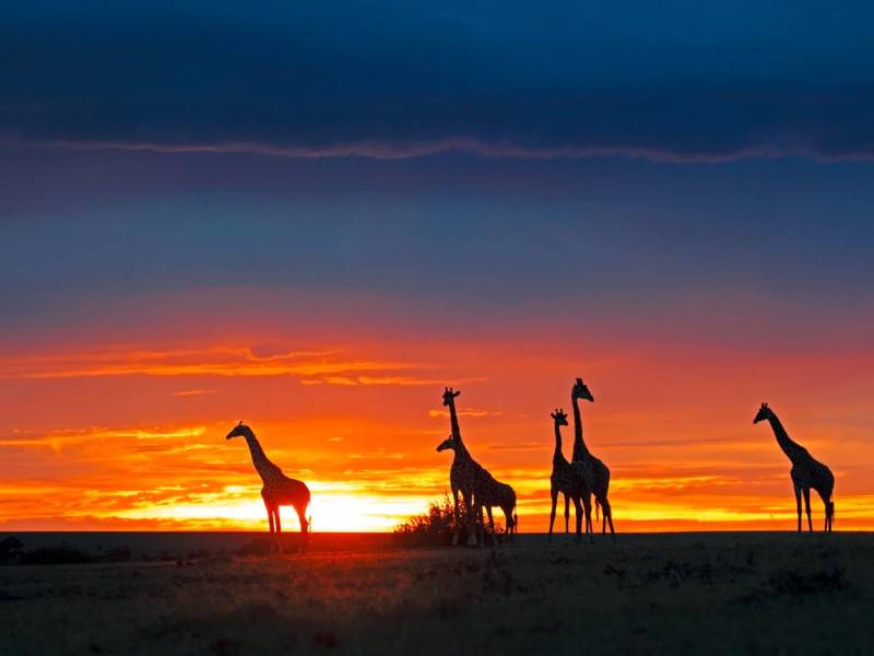 I_504875 KENYA INTOUR EXPLORE DISCOVERY - immagine 1