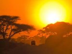 KENYA INTOUR EXPLORE DISCOVERY - immagine 6