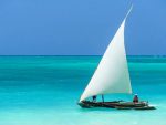 TANZANIA SAFARI E MARE - immagine 5