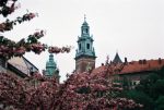 CRACOVIA CON AUSCHWITZ - immagine 5
