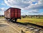 CRACOVIA CON AUSCHWITZ - immagine 3