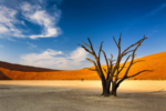 NAMIBIA - immagine 3