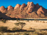NAMIBIA - immagine 5